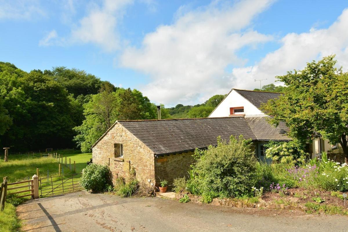 Dandelion Cottage, 安姆罗斯 外观 照片