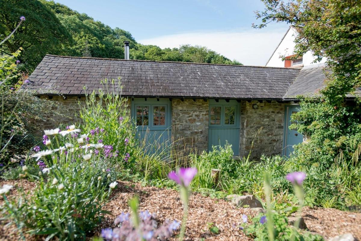 Dandelion Cottage, 安姆罗斯 外观 照片